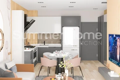 Prachtige, chique appartementen gevestigd in Altıntaş  interior - 1